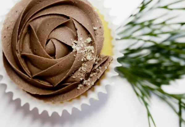 cupcake-with-chocolate-icing-1312476